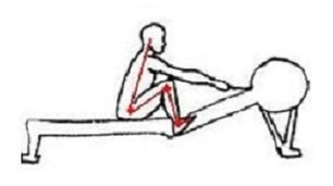 correct rowing position